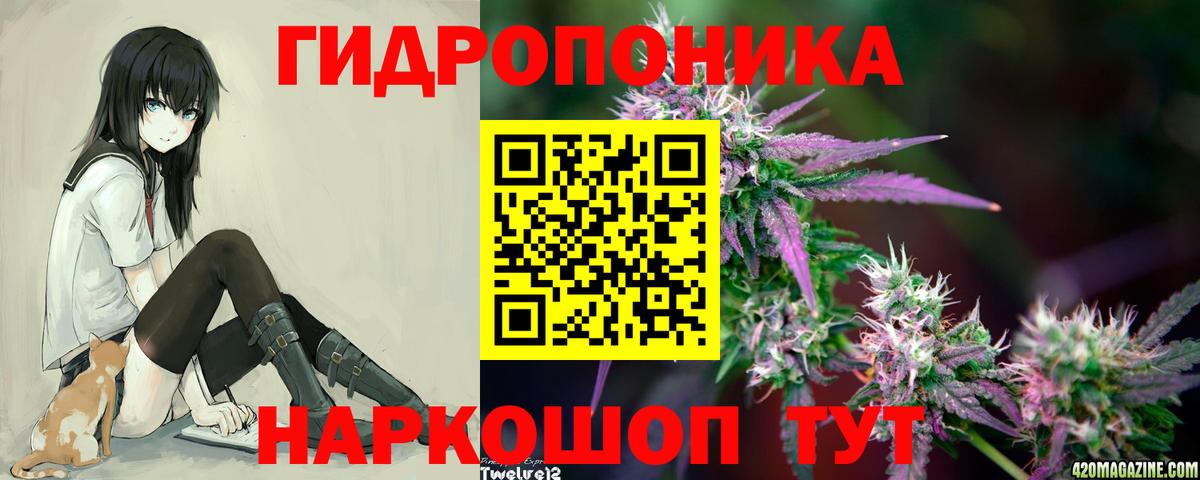 Конопля гибрид  Конопля AK-47  Нефтекамск  Каннабис ГИДРОПОН  Вход с VPN 
